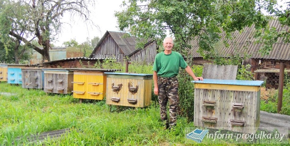 «Чтобы пчёл разводить, надо сердцем их любить» - говорит пчеловод из Запросья